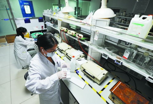 讓創新中藥綻放更多光彩 以嶺藥業以理論創新驅動中醫藥產業化、現代化、國際化